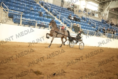JHM-0897-2