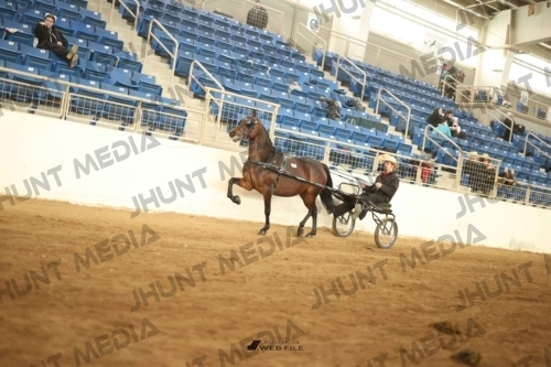 JHM-0973-2