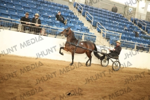 JHM-0974-2