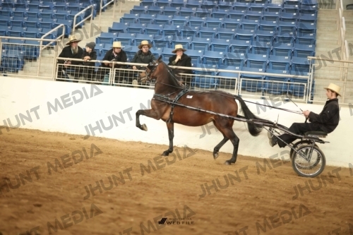 JHM-0976-2