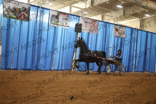 JHM-2753