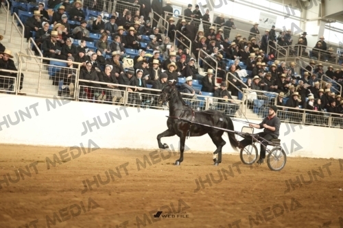 JHM-3219
