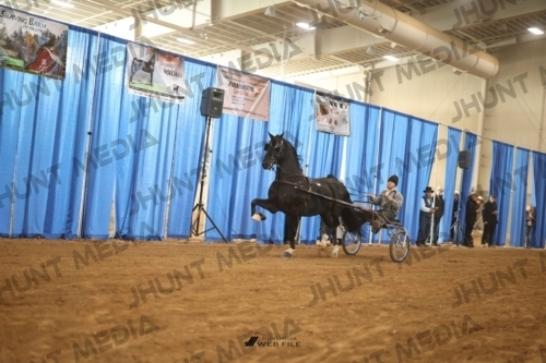 JHM-3067