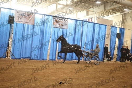 JHM-2953