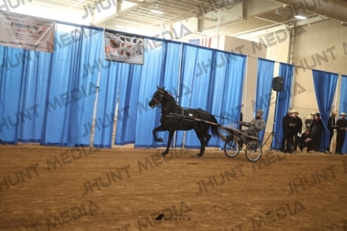 JHM-2959