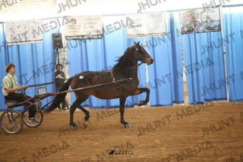JHM-2948