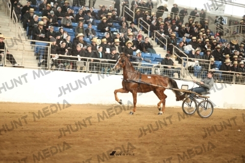 JHM-3341