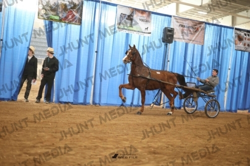 JHM-3361