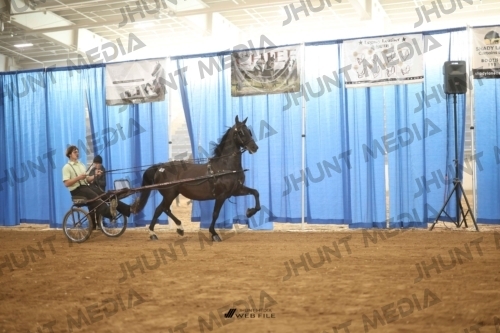 JHM-3440