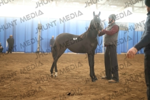 JHM-3690