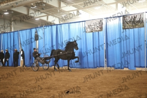 JHM-3773