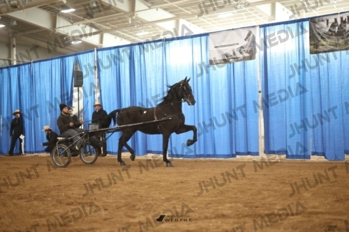 JHM-4062