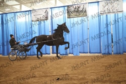 JHM-4063