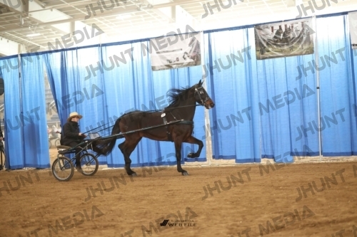 JHM-4147