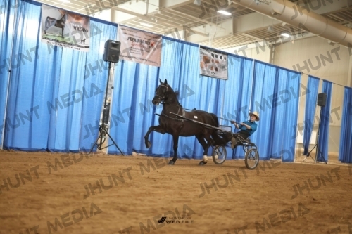 JHM-4195