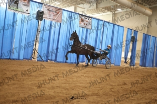 JHM-4202