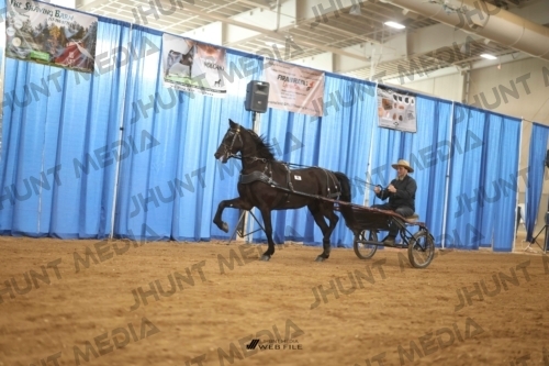 JHM-4217