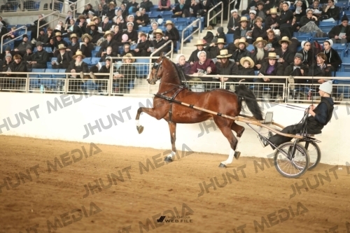 JHM-4256