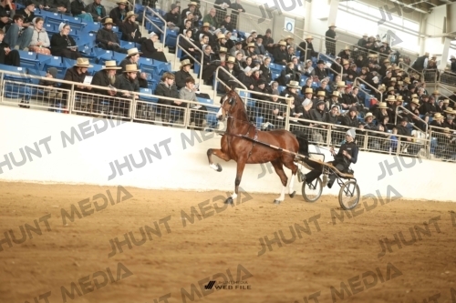 JHM-4261