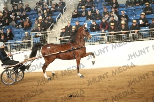 JHM-4283