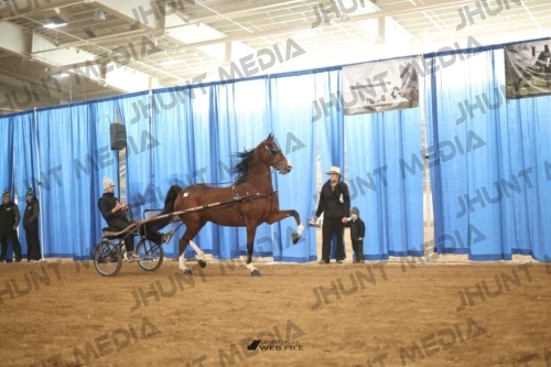 JHM-4284