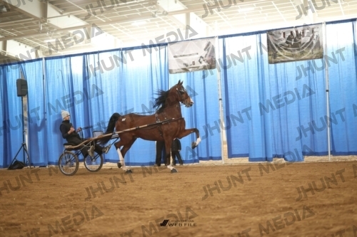 JHM-4295