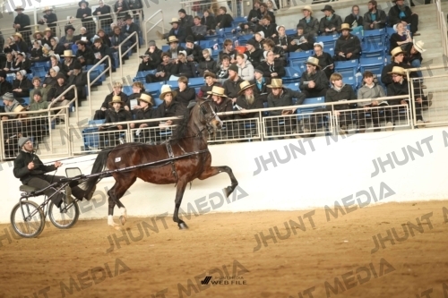 JHM-4440