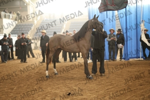 JHM-4465