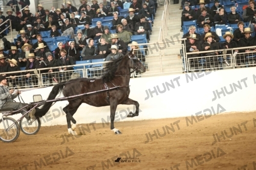 JHM-4480