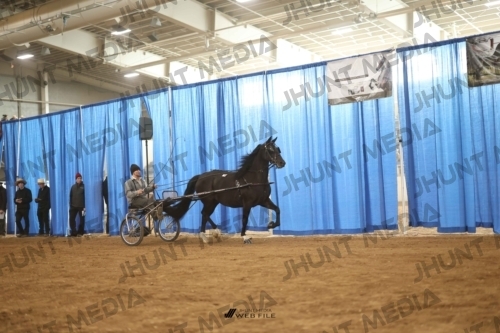 JHM-4481