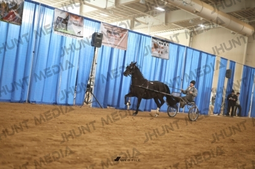 JHM-4486