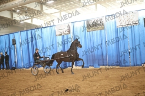 JHM-4545