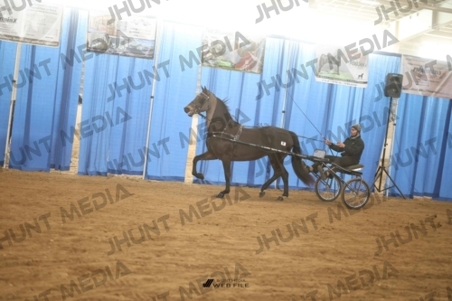 JHM-4643