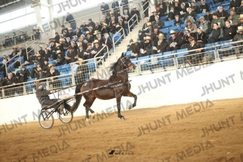 JHM-4661
