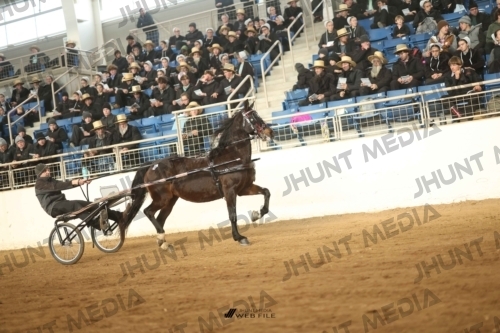JHM-4665