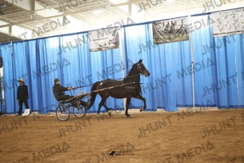 JHM-4667