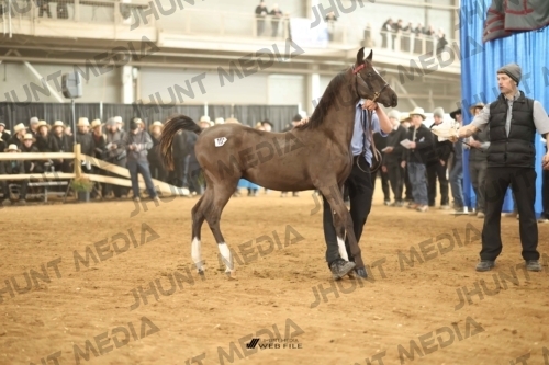 JHM-4772