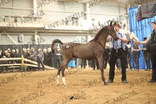 JHM-4778