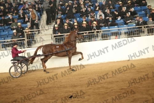JHM-4868