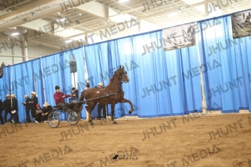 JHM-4878