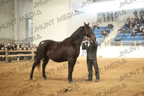 JHM-4907