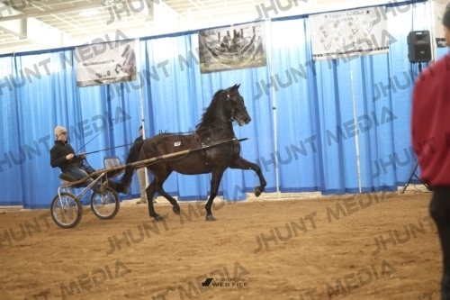 JHM-4935
