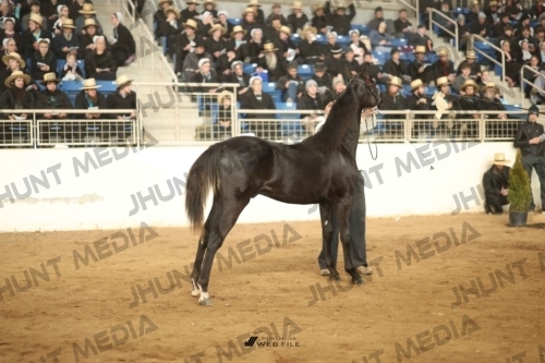 JHM-5078