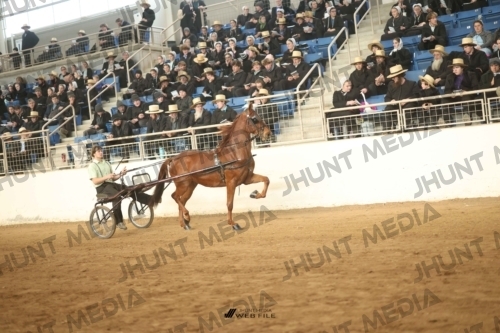 JHM-5126