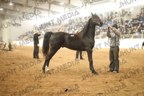JHM-5199