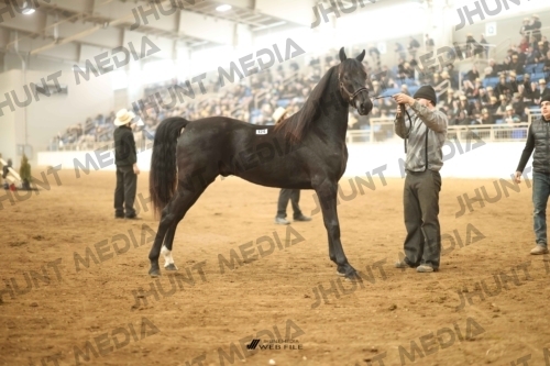 JHM-5201
