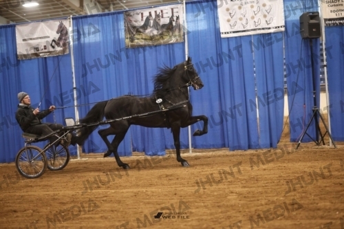 JHM-1901