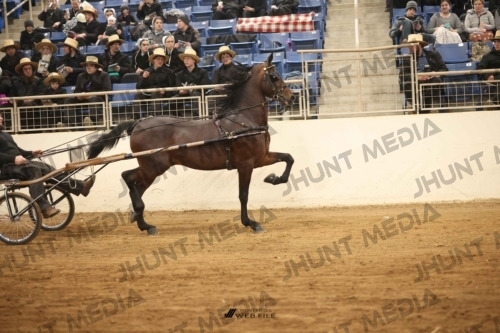 JHM-2004