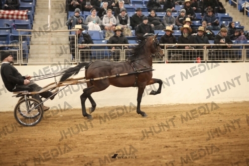 JHM-2005