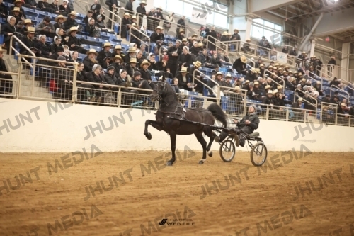 JHM-2012